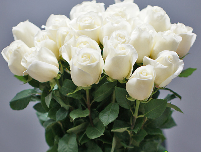 Букет из 23 белых голландских роз 80-90 см Фото